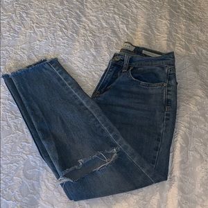 Pacsun Blue Vintage Icon Mom Jeans
